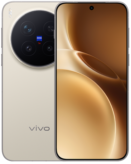 Смартфон Vivo X300 Pro 12/256Gb Brown CN