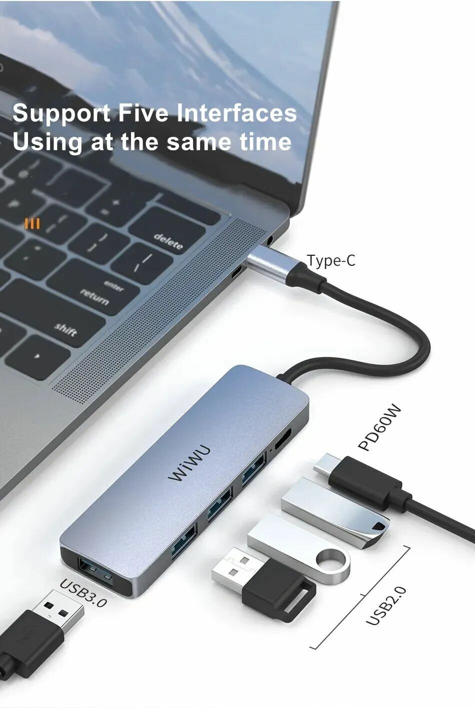 Адаптер WIWU 5 in 1 A541BC Type C