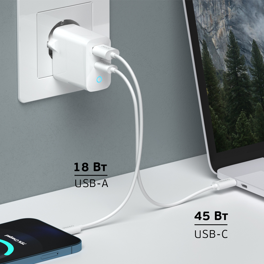 Сетевое зарядное устройство Deppa USB-A/USB-C, GaN, 65W, белый